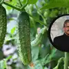 ఆనంద్ మహీంద్రాని ఆకట్టుకున్న పచ్చని ఆలోచన, రూఫ్ టాప్ విప్లవంపై ప్రశంసల జల్లు