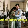 విడాకుల కోసం కోర్టు మెట్లెక్కిన భార్య.. మామ ప్రాణాలను కాపాడిన అల్లుడు.. చివరికి హ్యాపీ ఎండింగ్