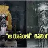 Ancient Temples : ఆ ఆలయంలో "ఆ రూపంలో" శివలింగం.. 60 ఏళ్లకోసారి అద్భుతం..