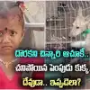 జ్ఞానేశ్వరి అదృశ్యం కేసులో అనూహ్య పరిణామం.. పెంపుడు కుక్క మృతి.. అదే కారణమా?