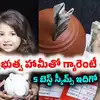 సహా పోస్టాఫీస్ నుంచి 5 గొప్ప స్కీమ్స్.. 8.2 శాతం వరకు వడ్డీ.. కనీస పెట్టుబడి సహా పూర్తి