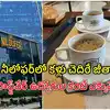 కేఫ్ నీలోఫర్ సిబ్బంది నెల జీతం అన్ని లక్షలా..? ఐటీ ఉద్యోగుల ప్యాకేజీలు కూడా జుజుబీ..!