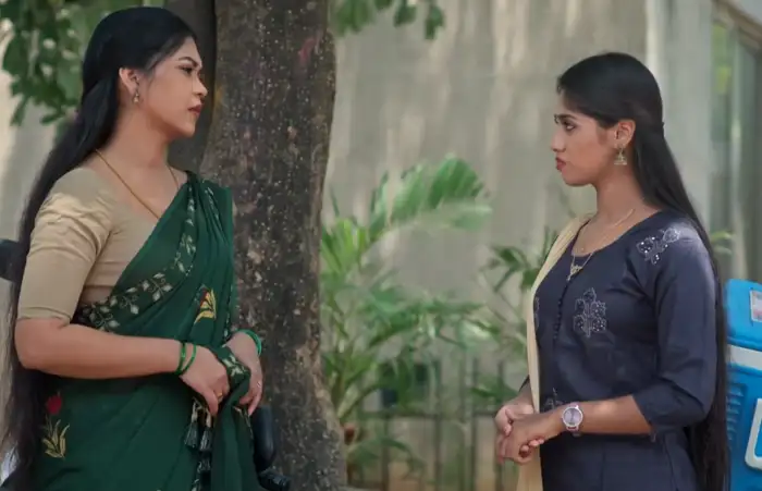 మీనా న్యూ ఐడియా..
