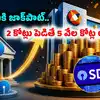 రూ. 2 కోట్లు పెడితే ఇప్పుడు రూ. 5 వేల కోట్లు.. ఐపీఓతో ఎస్బీఐకి కాసుల పంట.. ఇదేం