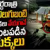 కరీంనగర్-లో అర్ధరాత్రి ఎలుగుబంటి కలకలం