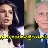 కోవిడ్‌కు కారణమైన వుహాన్ ల్యాబ్‌కు అమెరికా అగ్రశ్రేణి సైంటిస్ట్ నిధులు.. వెలుగులోకి సంచలన విషయాలు