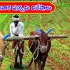ఏరువాక పున్నమి విశిష్టతలేంటి? దీన్ని రైతుల పండుగ అని ఎందుకంటారో తెలుసా