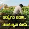 బెంగళూరులో ఉద్యోగం.. జీతం చాలక యూట్యూబ్ చూసి సేద్యం.. లక్షల్లో ఆర్జిస్తున్న అనంతపురం యువకుడు..