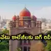 ఫీజుల విషయంలో విద్యార్థులకు బిగ్ షాక్.. ప్రైవేట్ కాలేజీలకు హైకోర్టులో భారీ ఊరట