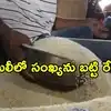 అంత్యోదయ పథకంలో కీలక మార్పులు.. ఇకపై ఒక్కొక్కరికీ 7 కిలోల రేషన్