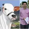 ఏపీ రాష్ట్ర జంతువుగా ఒంగోలు గిత్త.. లోకేష్ వద్దకు చేరిన ప్రతిపాదన