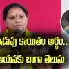 'ఇడుపు కాయితం' అర్థం కావాలంటే పవన్‌ కళ్యాణ్‌ను అడగండి: కల్వకుంట్ల కవిత
