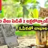 జస్ట్ రూ. 10 వేలు పెడితే 2 లక్షలొచ్చాయ్.. హెచ్ డీఎఫ్ సీ స్కీమ్ మ్యాజిక్.. ఇప్పుడు రూ.