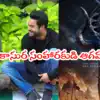 గాడ్ ఆఫ్ వార్’ వచ్చేస్తున్నాడు.. ఎన్టీఆర్-త్రివిక్రమ్ కాంబోలో భారీ మైథలాజికల్ మూవీ