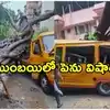 Mumbai: స్కూల్ బస్సుపై కూలిన చెట్టు.. ఒకరు మృతి.. 12 మంది విద్యార్థులకు తీవ్రగాయాలు