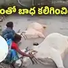 "ఇదెంతో బాధిస్తోంది.. ఏరువాక పౌర్ణమి రోజు ఇలా జరగడం కలిచివేస్తోంది" : చంద్రబాబు