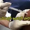 ఏపీలో పొరపాటున కూడా ఈ ఇంజెక్షన్ వాడొద్దు.. ప్రభుత్వం కీలక ఆదేశాలు