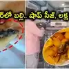 మిక్చర్ ప్యాకెట్‌లో బల్లి.. స్వీట్‌హౌస్ సీజ్.. రూ. లక్ష జరిమానా వేసిన అధికారులు