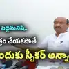 "తప్పుడు పనుల కోసం రావొద్దు.. చేతకాకుంటే ఇంట్లో కూర్చోండి".. నేతలకు అయ్యన్నపాత్రుడు వార్నింగ్..
