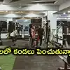 జిమ్ లవర్స్‌కు బిగ్ అలర్ట్.. ఇవి వాడుతున్నారా.. మీ లైంగిక సామర్థ్యం, ప్రాణాలకు ముప్పే..!