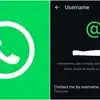 WhatsApp యూజర్‌నేమ్ ఫీచర్‌పై కేంద్రం మరోసారి సీరియస్.. మెటాకు ఆఖరి ఛాన్స్!