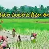 ఏపీలో రైతులకు ముఖ్య గమనిక.. పంటల బీమాకు ఉత్తర్వులు జారీ, జిల్లాల వారీగా వివరాలివే