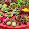 Gajuwaka Organic Santha: విశాఖలో సేంద్రీయ సంత.. ఆరోగ్యాన్ని పెంచే కూరగాయలకు ఆదరణ