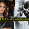 వీళ్లకి ఇలా చెప్తేనే కరెక్ట్.. అర్జున్ రెడ్డి’ని మళ్లీ కెలికిన అనసూయ.. ఈ వీడియో చూస్తే బుర్రపాడే