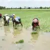రాష్ట్రంలోని ఆ 16 జిల్లాల్లో వర్షాభావం.. 65 లక్షల ఎకరాలకు గాను 4.22 లక్షల ఎకరాల్లోనే సాగు