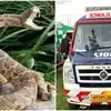పల్లెటూరి ప్రజలకు గుడ్ న్యూస్.. పాముకాటుకు ఇకపై108లోనూ మందు!