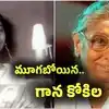 S.Janaki: 19 ఏళ్లకే కెరీర్ మొదలు.. పద్మభూషణ్ తిరస్కరణ.. జానకమ్మ స్వర ప్రస్థానంలో ఇంట్రస్టింగ్ విషయాలు..
