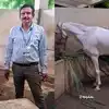 తిరుమల: గుర్రాన్ని విరాళంగా ఇచ్చిన భక్తుడు.. టీటీడీ ఆ గుర్రాన్ని ఏం చేస్తుందంటే?