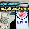 ఉద్యోగం మారారా? పాత పీఎఫ్ అకౌంట్లో డబ్బులు అలానే ఉండిపోయాయా? అవెలా వస్తాయి మరి