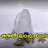 ఆగ్రాలోనే అమర్‌నాథ్.. ఫ్రిజ్‌లో ‘మంచు లింగం’ ప్రత్యక్షం.. క్యూకడుతోన్న జనం..