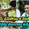 ‘ఆ మాట అడిగినప్పుడు కత్తి నా పీక మీద ఉంది’.. కేటీఆర్‌కు పులివెందుల ఖైదీ షేవింగ్.. బీఆర్ఎస్ నేత చెప్పిన ఆసక్తికర విషయాలు..!