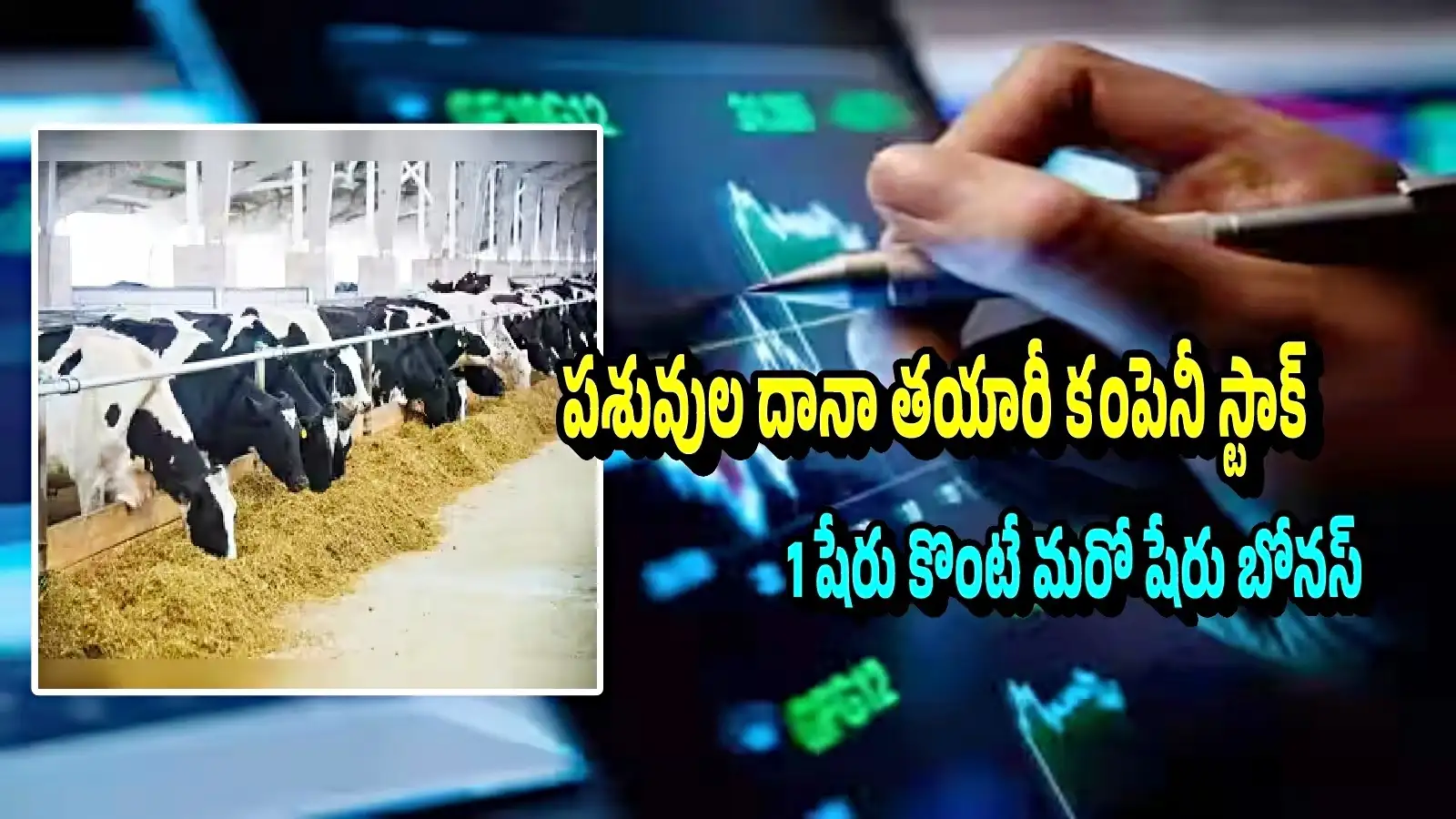 ఎట్టకేలకు రికార్డ్ తేదీప్రకటించిన కంపెనీ.. 10కి 10, 100కి 100 ఉచితంగా బోనస్ షేర్లు పొందొచ్చు – stockmarket