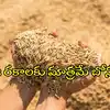 తెలంగాణ రైతులకు అలర్ట్.. ఈ ఏడు సన్న రకాలు వేస్తేనే రూ.500 బోనస్