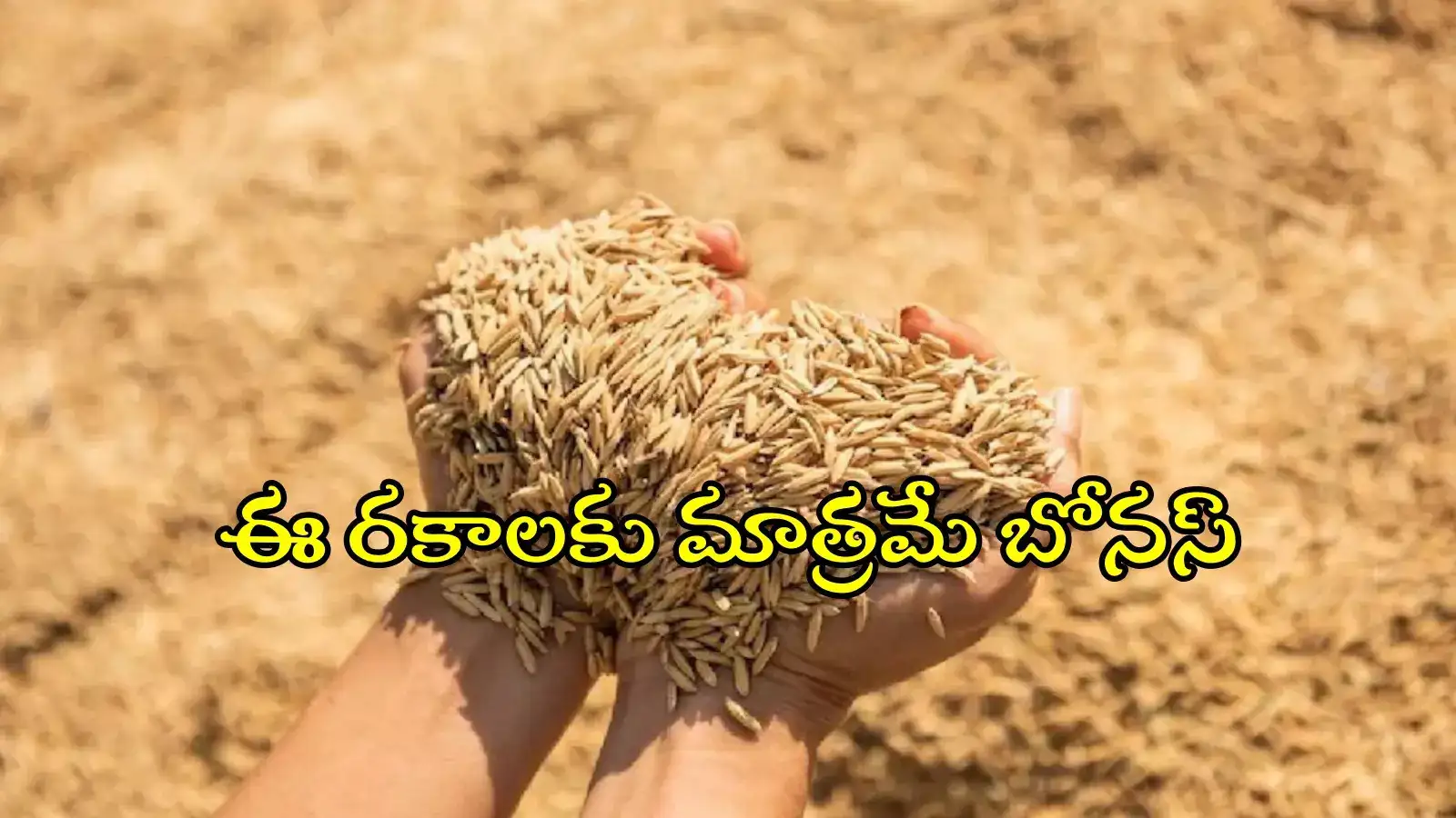 తెలంగాణ రైతులకు అలర్ట్.. ఈ ఏడు సన్న రకాలు వేస్తేనే రూ.500 బోనస్ – telangana