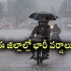 తెలంగాణపై అల్పపీడన ద్రోణి ప్రభావం.. నేడు ఈ జిల్లాల్లో వర్షాలకు ఛాన్స్
