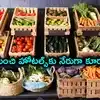 సిద్దిపేట రైతన్నల ఆలోచన.. పొలం నుంచి నేరుగా హైదరాబాద్‌కు కూరగాయలు, వాట్సాప్‌ మార్కెటింగ్‌తో దళారులకు చెక్