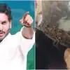 ఎస్సైల కారులో గంజాయి.. "హే రామ్.. రాష్ట్రం ఎంత దిగజారిపోయింది" అన్న వైఎస్ జగన్