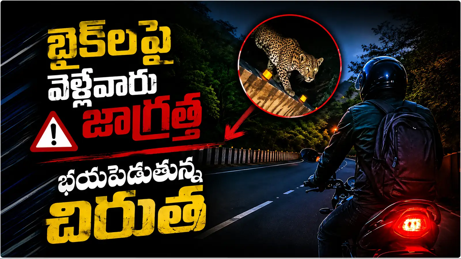 తిరుపతి ఘాట్ రోడ్డులో చిరుత పులి – general