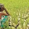 తెలంగాణలో క్రమంగా పెరుగుతున్న ఉష్ణోగ్రతలు.. వర్షాలు లేక రైతుల్లో ఆందోళన