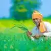 రైతులకు అలర్ట్.. పంటల బీమా నమోదు గడువు పొడిగింపు..