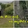 కొండపై నుంచి దూకిన యువకుడు.. అతడ్ని కాపాడబోయి లోయలోపడి దంపతులు మృతి