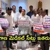 జీవో 150తో నీట్ విద్యార్థులకు అన్యాయం.. 1600 మెడికల్ సీట్లు పోతాయ్.. కల్వకుంట్ల కవిత ఆవేదన