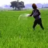 ఏపీ రైతులకు ముఖ్య గమనిక.. ప్రీమియం చెల్లించినా ఈ-పంటలో నమోదైతేనే బీమా వర్తిస్తుంది