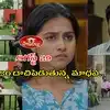 పొదరిల్లు టుడే ఎపిసోడ్