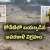 చంద్రగిరి: కోనేటిలో బయటపడిన పురాతన ఉగ్ర కాళికాదేవి విగ్రహం..