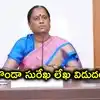కొండా సురేఖ వివాదానికి కారణాలు ఇవేనా.. ఖర్గే, రాహుల్‌ గాంధీలకు లేఖలో సంచలన విషయాలు